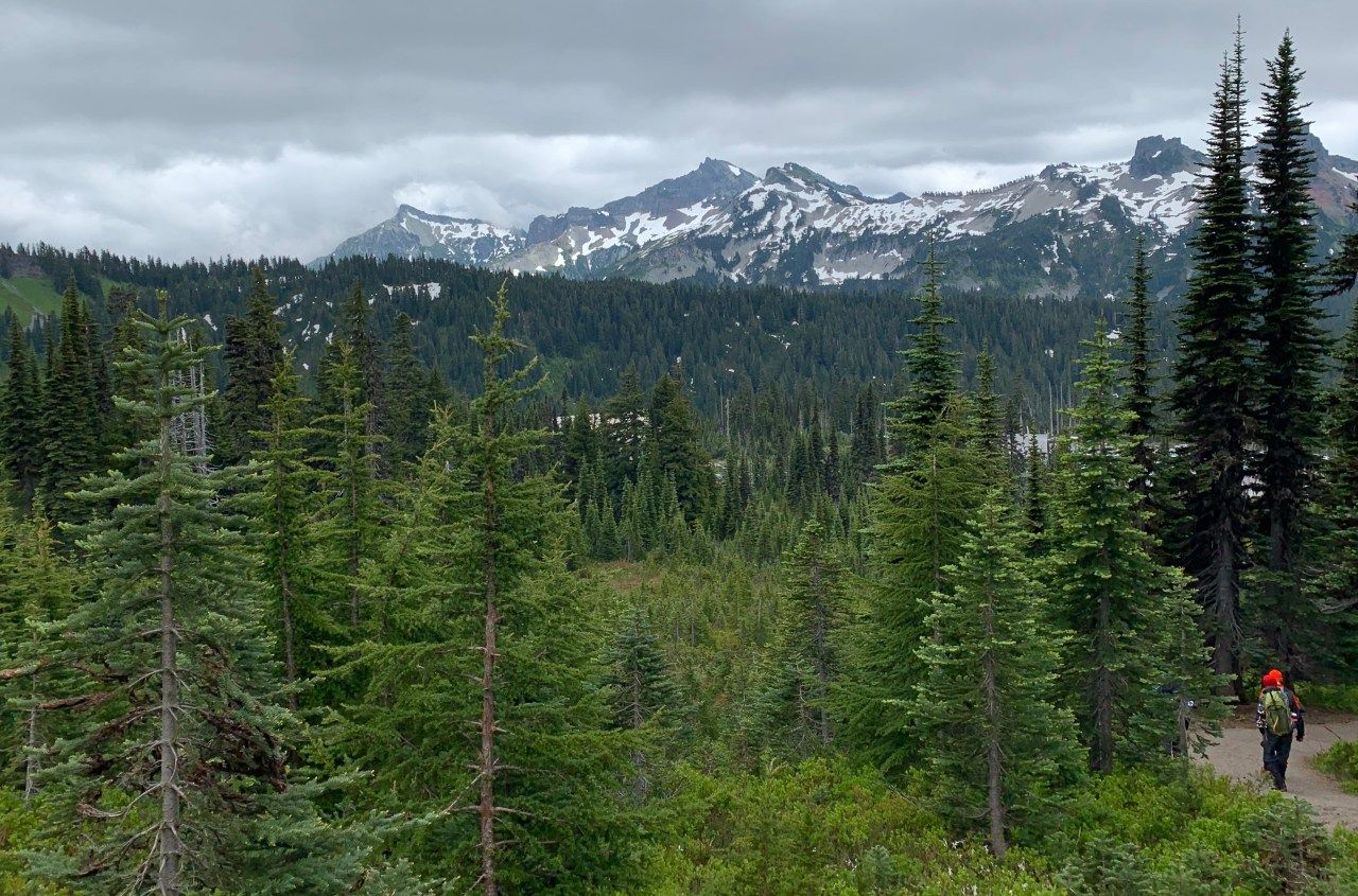 Mount Rainier'i Rahvuspark: Paradise matkarajad
